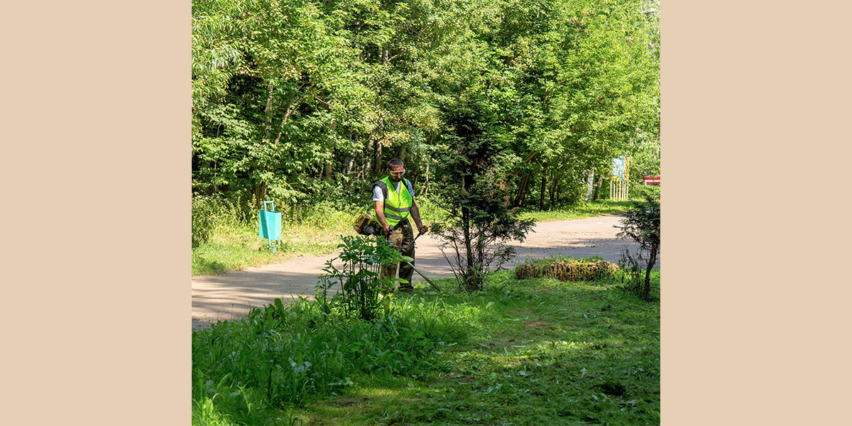 Парк авангард в электростали фото