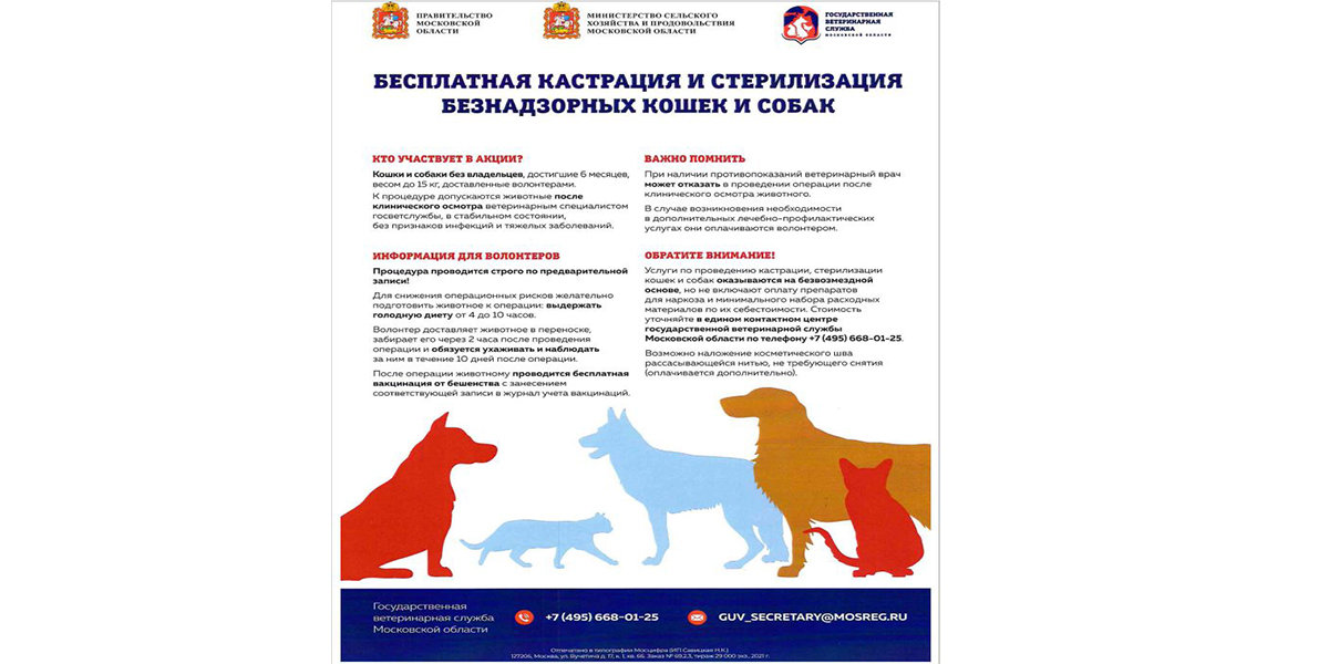 стерилизация бездомных животных. бесплатная стерилизация собак. бесплатная стерилизация. стерилизация бездомных животных. отлов стерилизация выпуск тамбов.