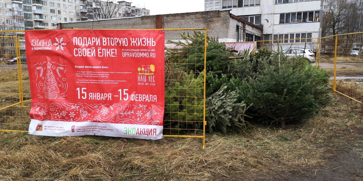 Подари елке вторую жизнь. Подари вторую жизнь своей елке. подари елке вторую жизнь одинцово фото.