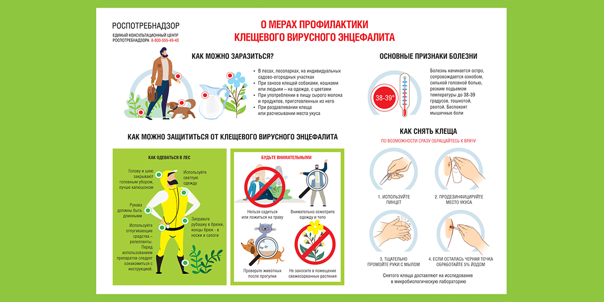 Заражение человека энцефалитом возможно при ответ