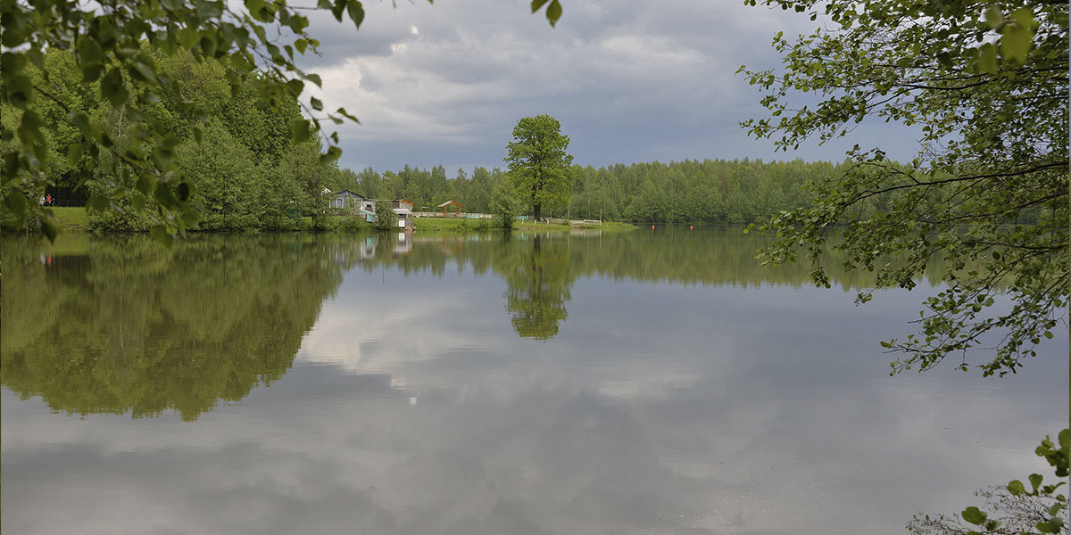 Парк авангард в электростали фото