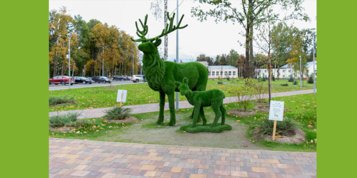 Парк электросталь. Электросталь парк. Городской парк Восточный Электросталь. Электросталь парк городской парк. Новый парк в Электростали.